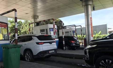 Từ 1/1/2025, giấy phép lái xe sẽ bị trừ điểm thế nào, phục hồi ra sao?