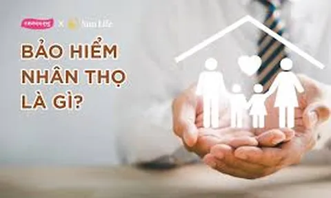 Đóng 100 triệu tiền bảo hiểm nhân thọ, 4 năm sau rút về hơn 24 triệu, chưa đủ mua 2 chỉ vàng: “Hóa ra tôi đã nhầm về bài học tích sản”