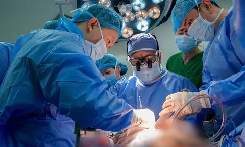 Hai sự sống được tiếp nối trong một đêm tại Bệnh viện Đại học Y Dược TP. Hồ Chí Minh