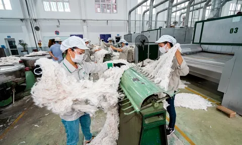 Nhà máy sợi của Công ty CP Đầu tư Phát triển sản xuất và xuất nhập khẩu An Phước bị ngân hàng thu nợ