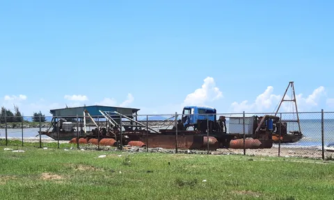 TP. Hồ Chí Minh: Huyện Cần Giờ sai phạm trong giao đất công, sử dụng ngân sách thế nào?
