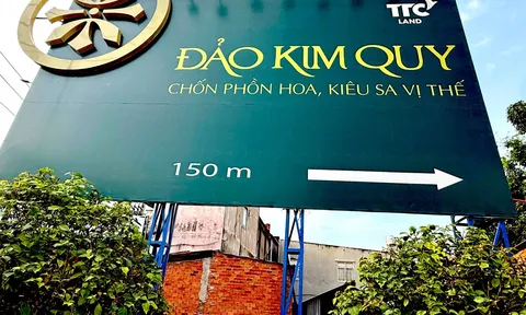 Những tổ chức, cá nhân sai phạm ở dự án Cù lao Tân Vạn (Đảo Kim Quy) như thế nào?