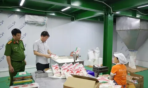 Vụ Công ty Famimoto Việt Nam làm bột ngọt, dầu ăn giả: Làm rõ trách nhiệm đơn vị kiểm nghiệm