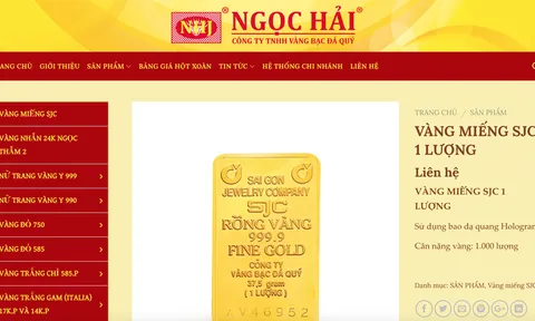 Vàng Ngọc Hải và vàng Ngọc Thẩm bị phạt hơn 1,7 tỷ đồng