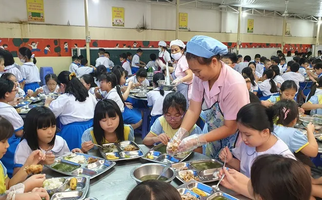 Chủ tịch UBND tỉnh, thành phố phải chịu trách nhiệm toàn diện việc tổ chức ăn bán trú tại các cơ sở giáo dục trên địa bàn